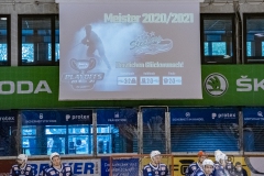 SocialMedia-2560